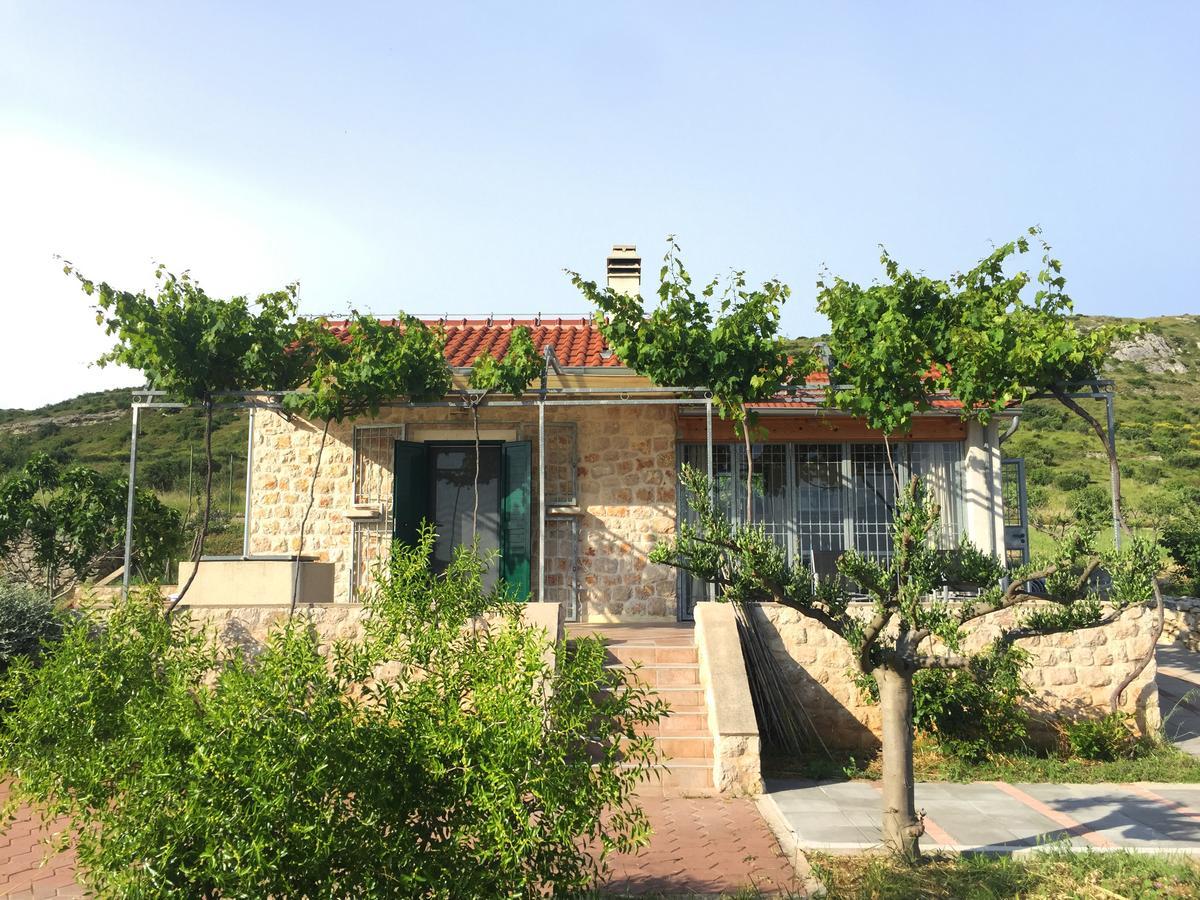 Holiday Home Olive Šibenik Eksteriør billede